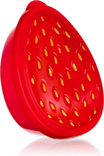 Snackbox Erdbeere 19,5 × 16 × 6 cm Kunststoff rot