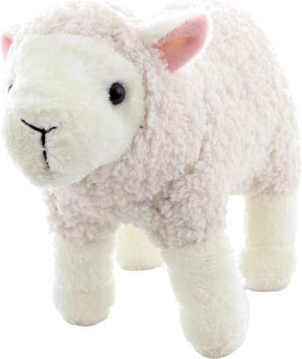 Leicht und kompakt für Zuhause und unterwegs