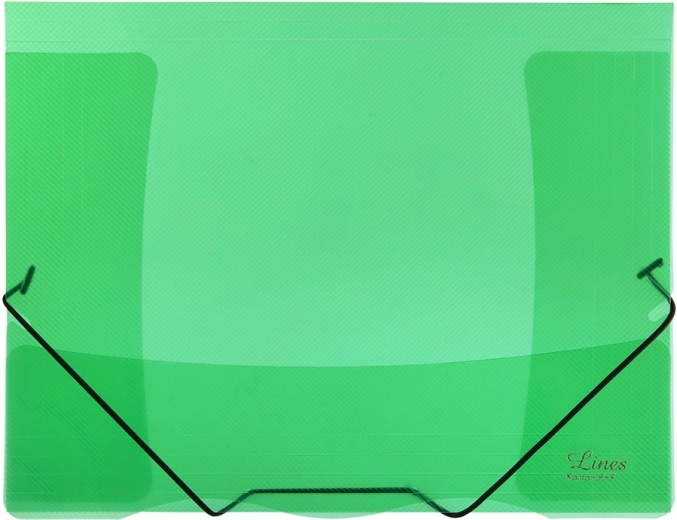 Sichtmappe mit Gummi transparent grün Lines