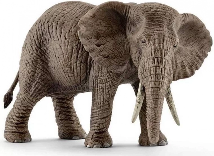Schleich Wild Life Afrikanischer Elefant – Weibchen