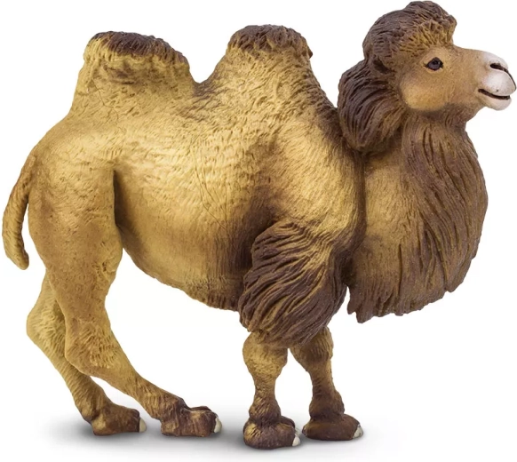 Safari Ltd. Figur Velbloud dvouhrbý