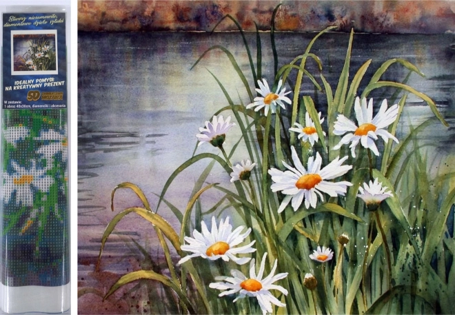 Diamantmalerei Gänseblümchen am Wasser 30 × 40 cm