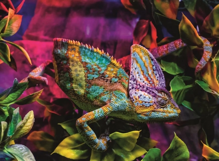 Ravensburger Puzzle Chamäleon 500 Teile