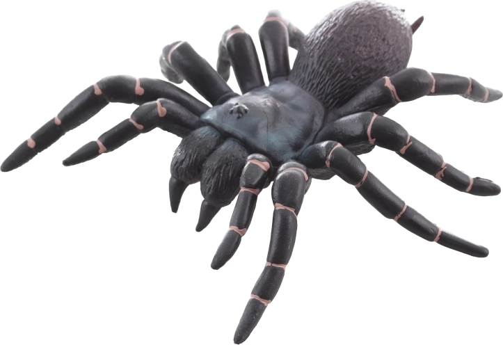 Ideal zum Lernen und als Dekoration