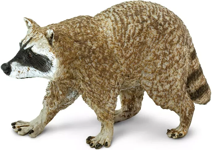 Waschbär-Figur Safari Ltd.