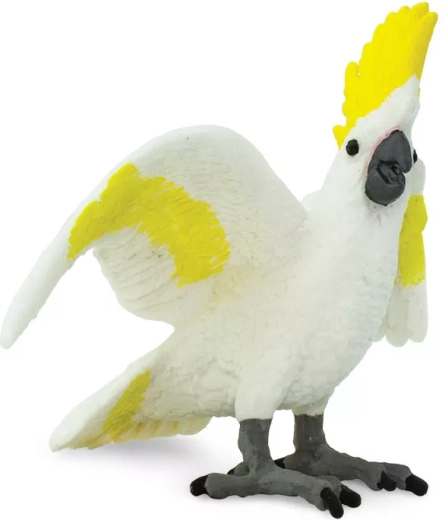 Realistische Details des Kakadus