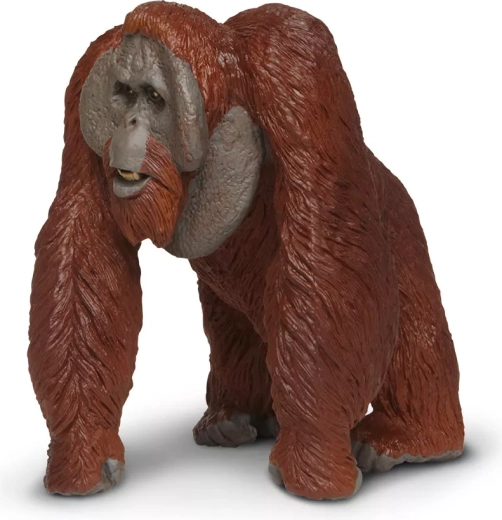 Eine Figur für kleine und große Entdecker