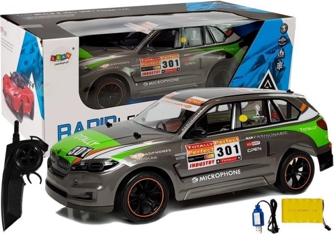Graues ferngesteuertes Rennwagen RC 1:10 2.4G