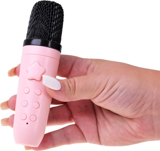 Karaoke-Mikrofon mit Steuerung und Stimmenveränderung