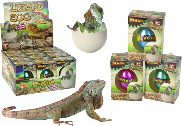 Magisches schlüpfendes Ei – wachsende Eidechse 6 cm