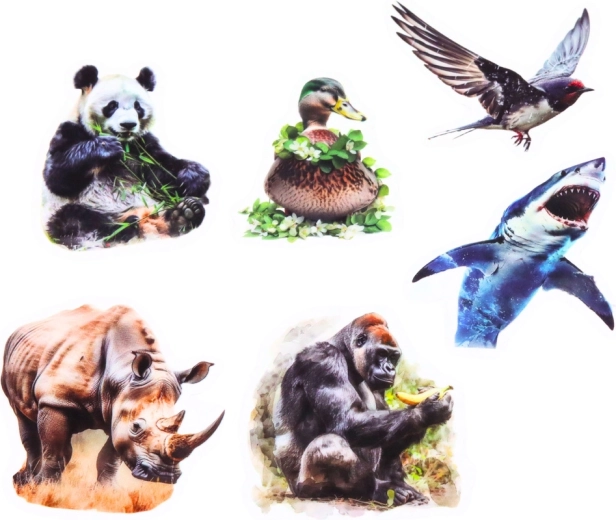 Transparenter Hintergrund für einen klaren Look