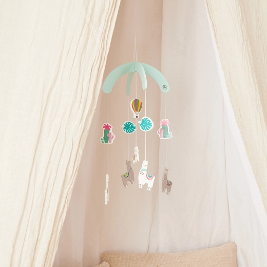 Beruhigendes Design mit Lama, Ballon und Kakteen