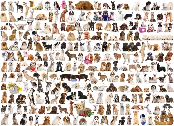 Eurographics Puzzle Welt der Hunde 1000 Teile