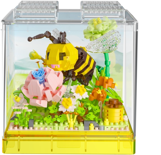 Praktische transparente Vitrine zum Ausstellen