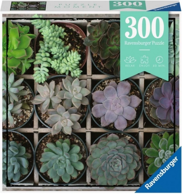Ravensburger Puzzle Moments – Pflanzenmotive 300 Teile