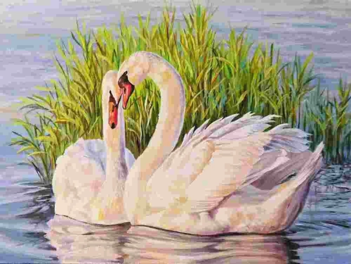 Norimpex Malen nach Zahlen Schwäne 40 × 50 cm