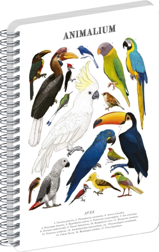 Notique Spiralblock Animalium – Vögel, blanko, A4