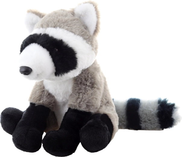 Realistische Details des Waschbären