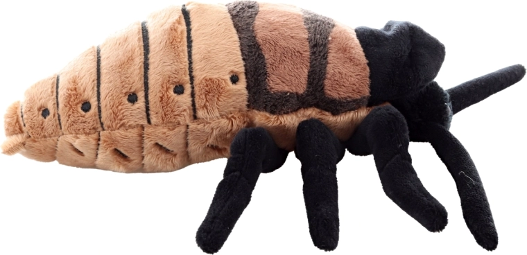 Realistisches Design mit detailreicher Ausführung