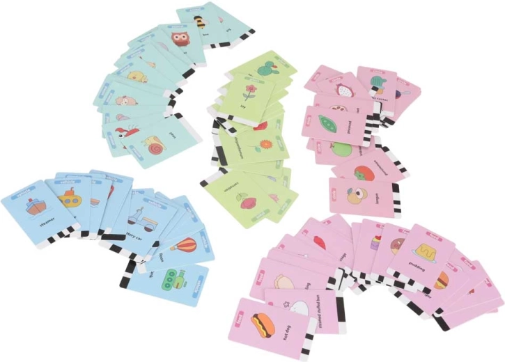 Umfangreiches Set mit 100 Lernkarten