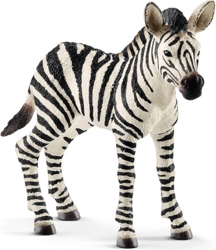 Figur Zebrajunges Schleich Wild Life