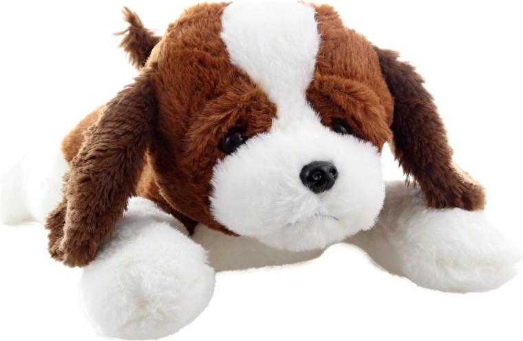 Niedrigkeitsrealistisches Aussehen