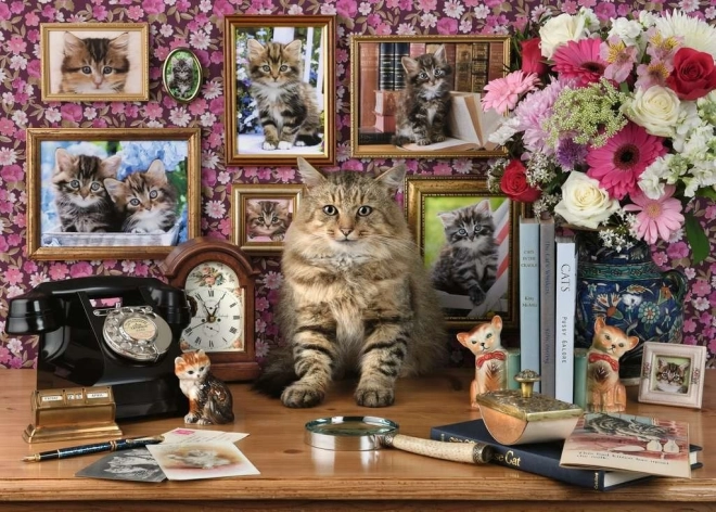 Puzzle Meine niedliche Katze 1000 Teile RAVENSBURGER