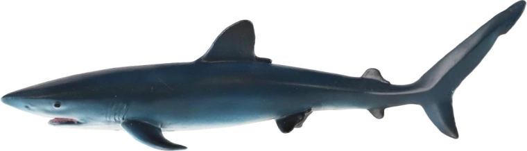 Typische Färbung des Blauhais