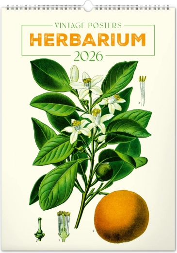 Wandkalender Vintage Poster Herbarium 2026
