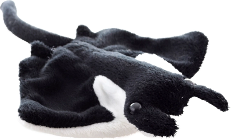 Realistische Form des Mantas