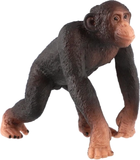 Kompakte Größe 8 cm