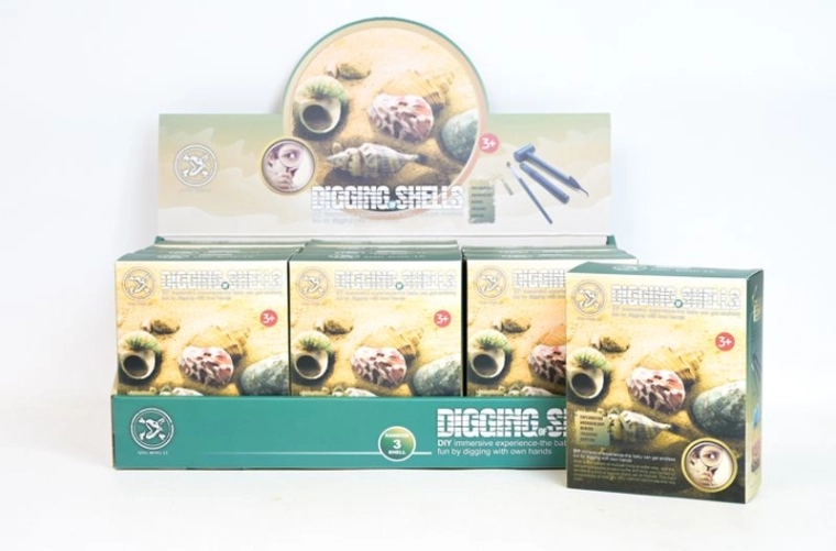 Kinder-Set Muscheln zum Sandgraben (12 Stk. im Display)