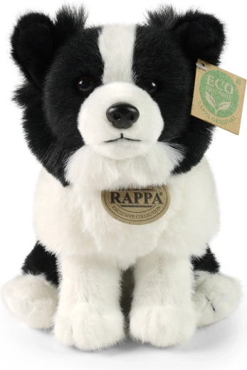 Realistische Details des Border Collie