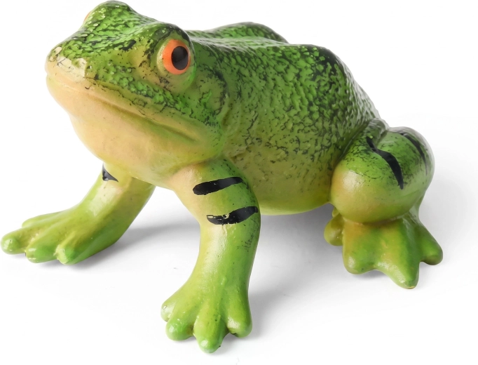 Realistische Froschdarstellung