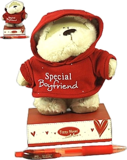 Kleiner Plüschbär Fizzy Moon im Hoodie – 1 Stück