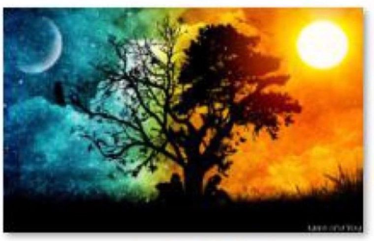 Diamant-Stickerei (Diamond Painting) Baum – Nacht und Tag 40 × 30 cm
