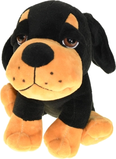 Mehrere Farbvarianten