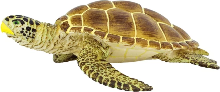 Safari Ltd. Unechte Karettschildkröte - 1 Stück