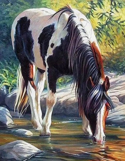 Malen nach Zahlen – Pferd am Fluss 40 × 50 cm