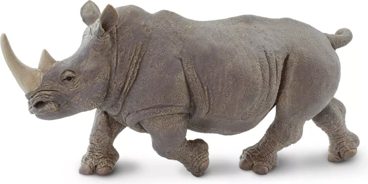 Breitmaulnashorn Safari Ltd. – 1 Stück