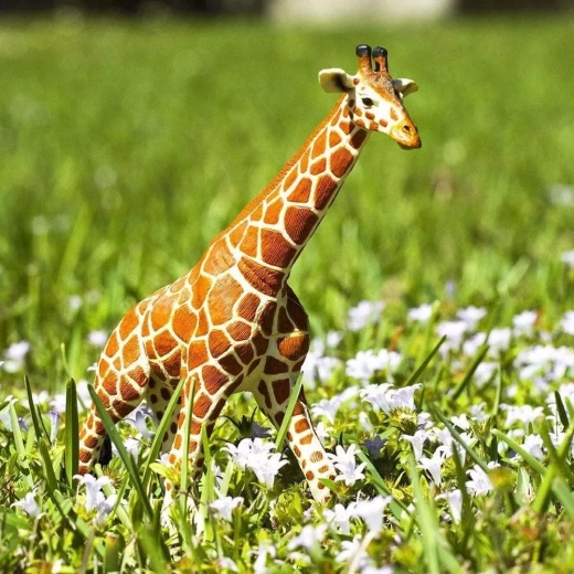 Spielerisch lernen über afrikanische Tiere
