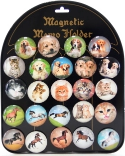 Set aus 24 Magneten mit Hunden, Katzen und Pferden