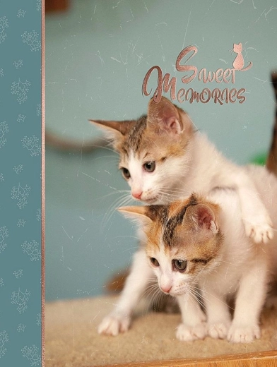 Fotoalbum CONCORDE DXP 4696 für 96 Fotos 10 × 15 cm