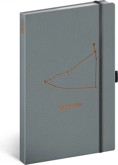 Notizbuch NOTIQUE Tierkreis Steinbock, liniert 13 × 21 cm