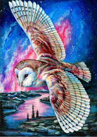 Norimpex Diamantmalerei Fliegende Eule 30 × 40 cm