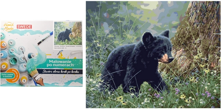 Malen nach Zahlen – Braunbär