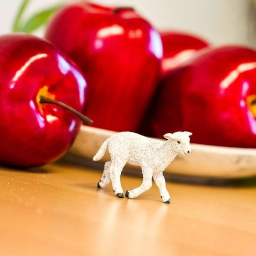 Spiel, das das Lernen über die Natur unterstützt