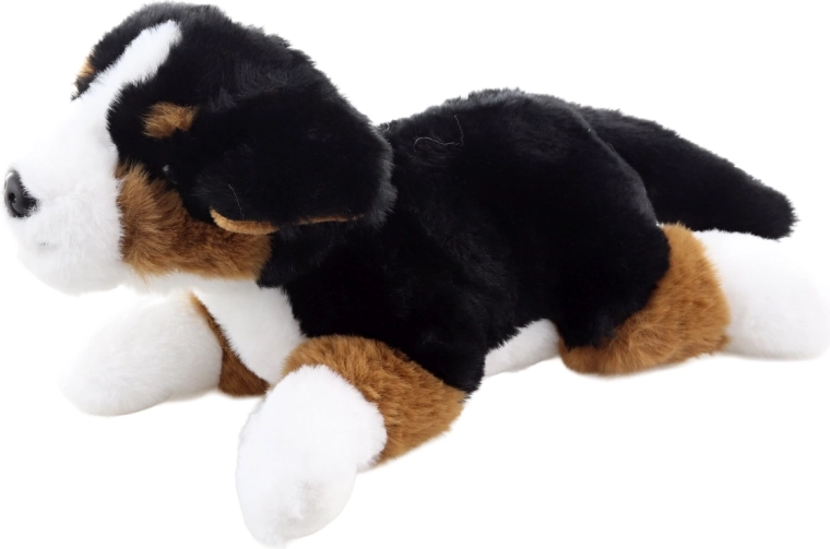 Kuscheliger Freund zum Schmusen