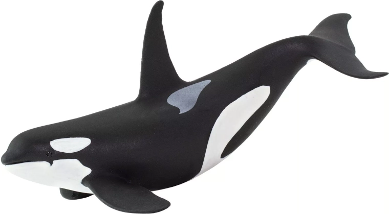 Orca-Figur von Safari Ltd.