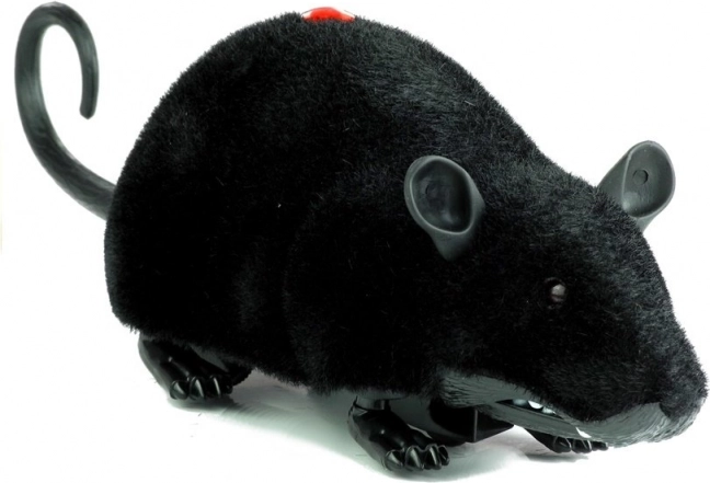 Große schwarze ferngesteuerte R/C Maus auf Rädern